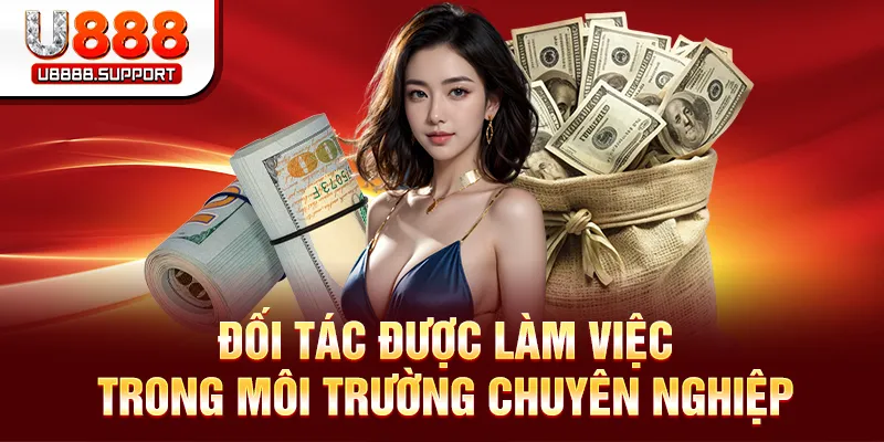 Đối tác được làm việc trong môi trường chuyên nghiệp