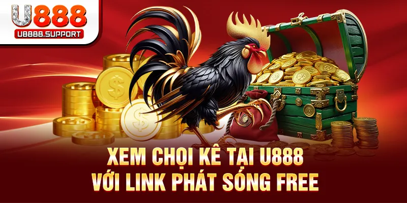 Xem chọi kê tại U888 với link phát sóng free