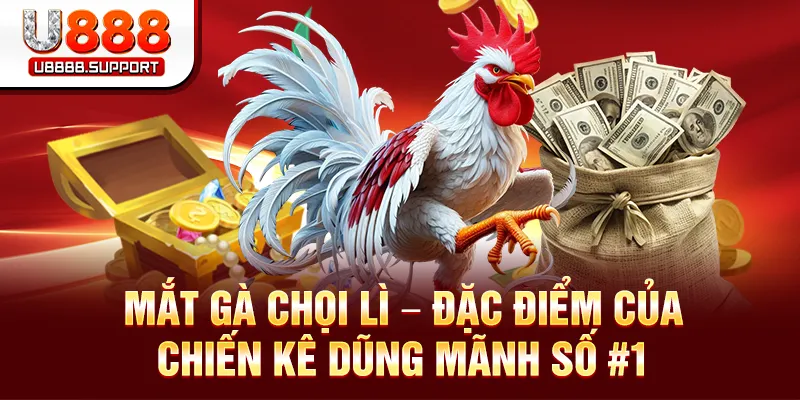 Mắt Gà Chọi Lì
