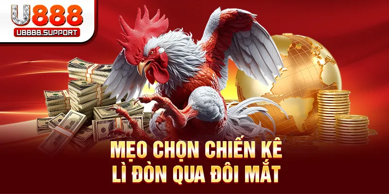Mẹo chọn chiến kê lì đòn qua đôi mắt
